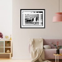 Historic Framed Print, Dorothy in Lindsay's [pony cab],  17-7/8" x 21-7/8"