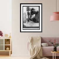 Palm Ave. Para, Brazil, Antique Wall Art