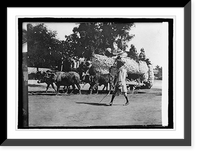 Historic Framed Print, Transportation in India,  17-7/8" x 21-7/8"