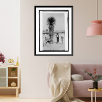 Historic Framed Print, Mexico, Spanish daggers in desert country,  17-7/8" x 21-7/8"