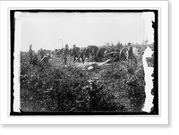 Historic Framed Print, Field Battery on firing line,  17-7/8" x 21-7/8"