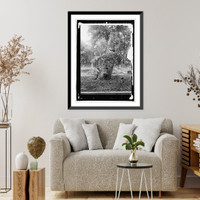 Historic Framed Print, Guatemala Quirigua Stela, 10 ft. high,  17-7/8" x 21-7/8"