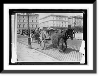 Historic Framed Print, Italy, Rome. Drivers sleeping in their carts,  17-7/8" x 21-7/8"