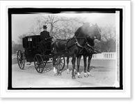 John Barry; drove for all Sectys of State from Evarts, Hayes Admin. to Robert? Lansing, Vintage Poster