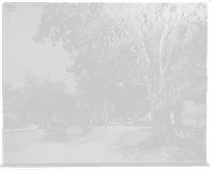 Historic Framed Print, A Pretty bit of Monroe Park, Mobile, Ala.,  17-7/8" x 21-7/8"