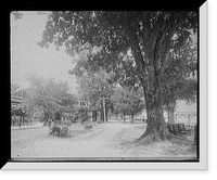 Historic Framed Print, A Pretty bit of Monroe Park, Mobile, Ala.,  17-7/8" x 21-7/8"