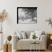 Historic Framed Print, A Pretty bit of Monroe Park, Mobile, Ala.,  17-7/8" x 21-7/8"