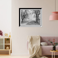 Historic Framed Print, Chalmette oaks and [battle] monument, New Orleans, La.,  17-7/8" x 21-7/8"