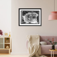 Historic Framed Print, Dr. Bauldwin [i.e., Baldwin?], Pub. Health Service - 3,  17-7/8" x 21-7/8"
