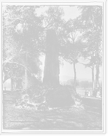 Historic Framed Print, Indian Mounument, Stockbridge, Mass.,  17-7/8" x 21-7/8"