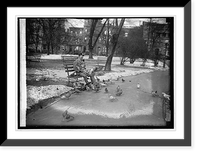 Historic Framed Print, Letter carrier feeding pigeons,  17-7/8" x 21-7/8"