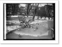 Historic Framed Print, Letter carrier feeding pigeons,  17-7/8" x 21-7/8"