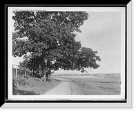 Historic Framed Print, [Harvard University] Stadium from the park, Cambridge, Mass.,  17-7/8" x 21-7/8"