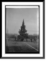 Historic Framed Print, Community Christmas tree, [12/24/23],  17-7/8" x 21-7/8"