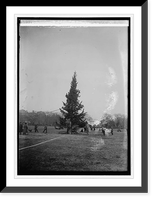 Historic Framed Print, Community Christmas tree, [12/24/23] - 3,  17-7/8" x 21-7/8"