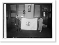 Harry S. New & Illinois flag, 2/26/24 - 2, Vintage Print