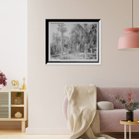 The Villa Flora, St. Augustine, Fla. Classic, Vintage Print