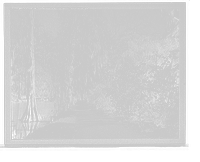 Historic Framed Print, Walk along the lake, Magnolia-on-the-Ashley, [Magnolia Gardens], Charleston, S.C.,  17-7/8" x 21-7/8"