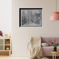 Historic Framed Print, Walk along the lake, Magnolia-on-the-Ashley, [Magnolia Gardens], Charleston, S.C.,  17-7/8" x 21-7/8"