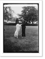 Pres. Coolidge with Rob Roy, 10/31/24, Antique Wall Art