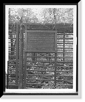 Historic Framed Print, [Original Concord grape vine, Concord, Mass.],  17-7/8" x 21-7/8"