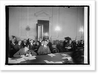 Gen. Mitchell before House of Rep. Aircraft Committee, 2/6/25, Antique Poster
