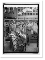 Lt. Col. J.E. Fechet & Gen. Mitchell, 4/20/25, Antique Wall Art