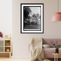 Tree surgeons in Capitol grounds, Washington, D.C, Historic Print