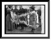 Nat. Women's Defense League shown Josephus Daniels, Vintage Poster