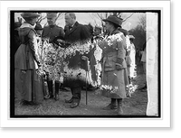 Nat. Women's Defense League shown Josephus Daniels, Vintage Poster