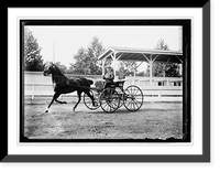 Historic Framed Print, Horse show, July 1912 - 7,  17-7/8" x 21-7/8"