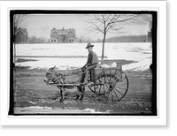 U.S. Army goat & cart, Antique Wall Art