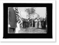 G.A.R. tree planting, Lincoln Memorial, Washington, D.C., Sept. 24, 1915, Antique Print