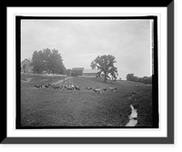 H.C. Rogers, Hamilton, Va, Historic Print