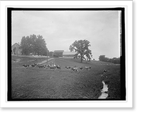 H.C. Rogers, Hamilton, Va, Historic Print