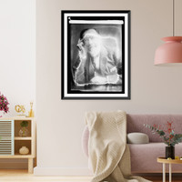 Louis Conrad, Polish writer Classic, Antique Print
