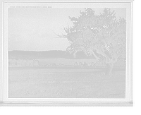 Historic Framed Print, Laurel Lake, Westinghouse estate, Lenox, Mass.,  17-7/8" x 21-7/8"