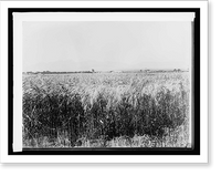 Historic Framed Print, Rio Grande Valley, New Mex.,  17-7/8" x 21-7/8"