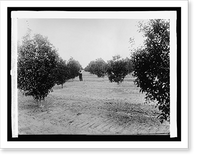 Historic Framed Print, Rio Grande Valley, New Mex. & Texas,  17-7/8" x 21-7/8"