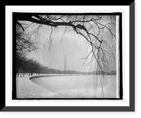 Historic Framed Print, Japanese cherry trees, [Washington, D.C.], winter, 1/14/25 - 2,  17-7/8" x 21-7/8"