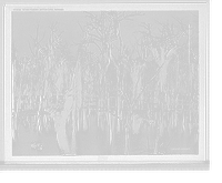 Historic Framed Print, Dying forest, Gatun Lake, Panama,  17-7/8" x 21-7/8"