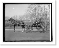 Historic Framed Print, Brodt horse - 2,  17-7/8" x 21-7/8"