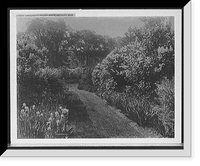 Historic Framed Print, Garden walk, Sargent estate, Brookline, Mass.,  17-7/8" x 21-7/8"