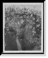Historic Framed Print, Old fashioned gardens, Lawson estate, Dreamwold, Egypt, Mass.,  17-7/8" x 21-7/8"