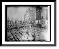 Historic Framed Print, Mexican Emb., [Washington, D.C.], greenhouse,  17-7/8" x 21-7/8"