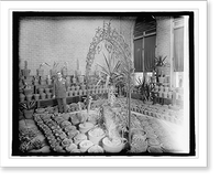 Historic Framed Print, Mexican Emb., [Washington, D.C.], greenhouse,  17-7/8" x 21-7/8"