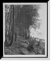 Historic Framed Print, Island Park, Harrisburg, Pa.,  17-7/8" x 21-7/8"