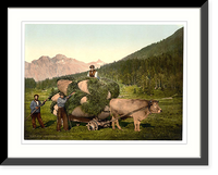 Historic Framed Print, Engadine carrying hay in the Engadine Grisons Switzerland,  17-7/8" x 21-7/8"