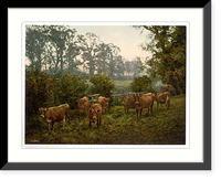 Historic Framed Print, Milking time England,  17-7/8" x 21-7/8"