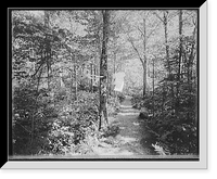 Historic Framed Print, [Profile House, wildwood path, White Mts., N.H.],  17-7/8" x 21-7/8"